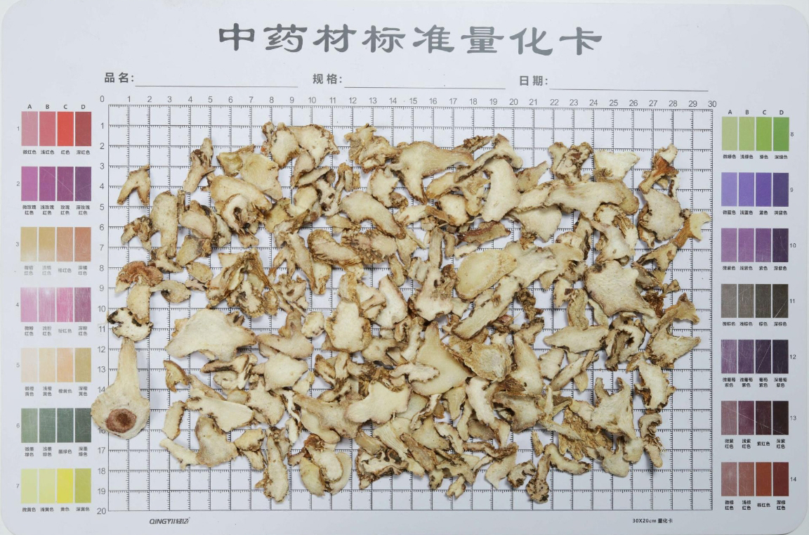 白及
