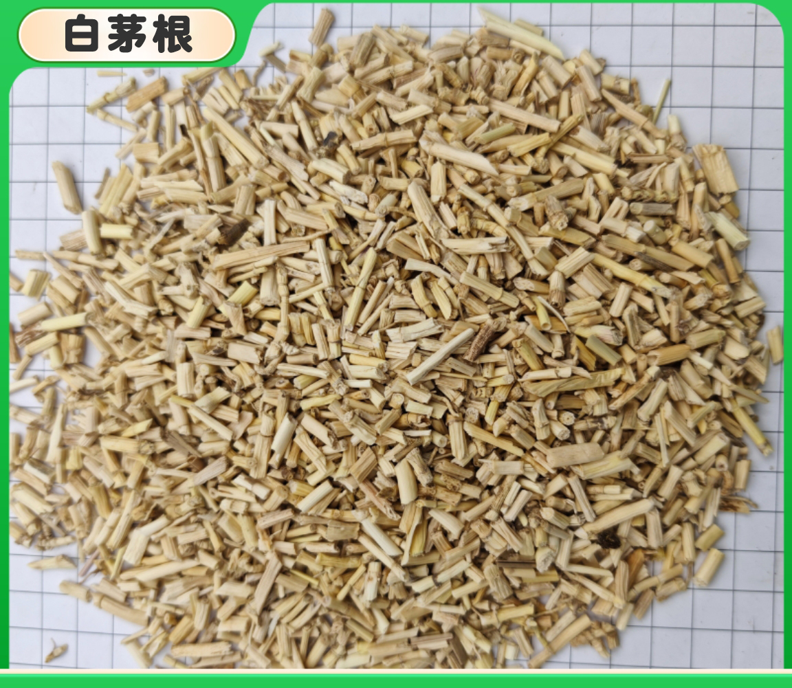 白茅根