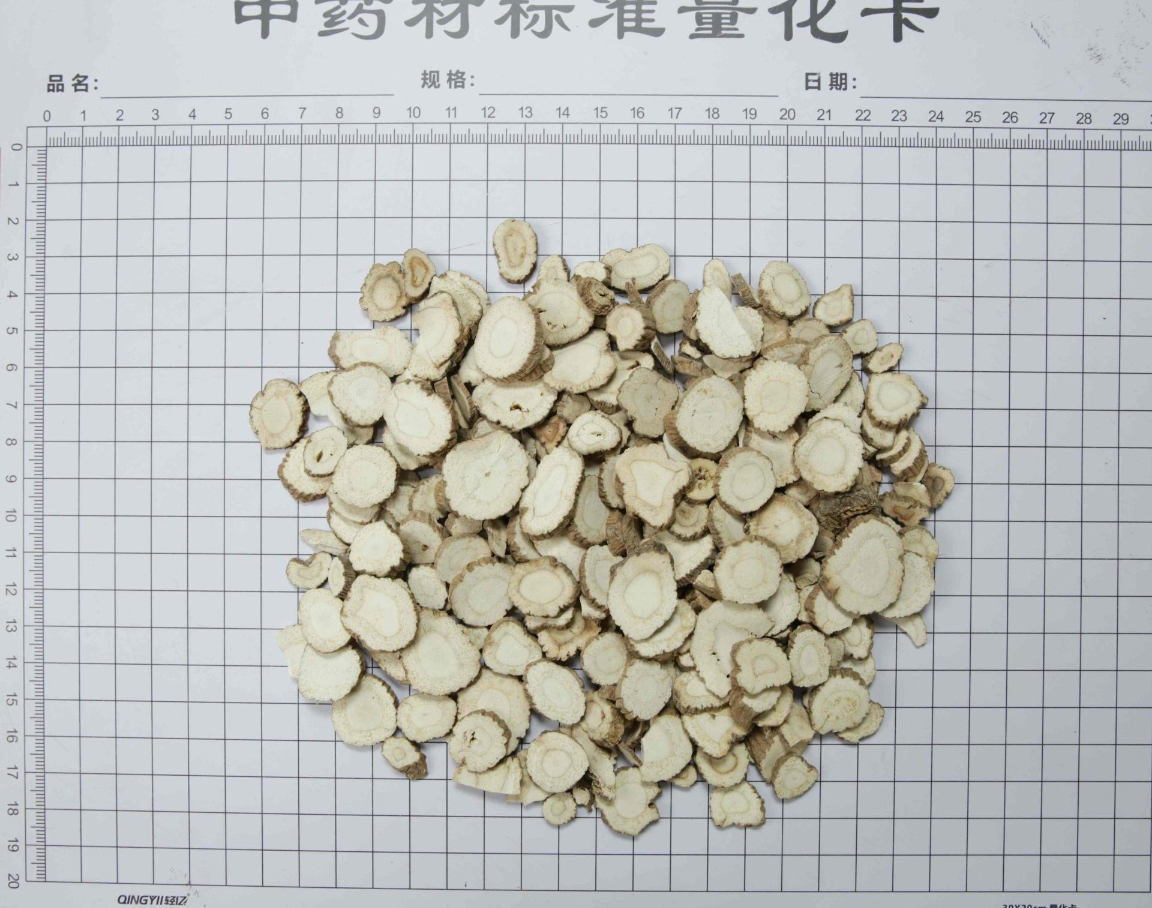 白芷