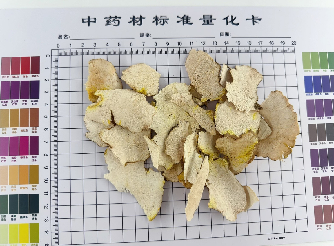 萆薢