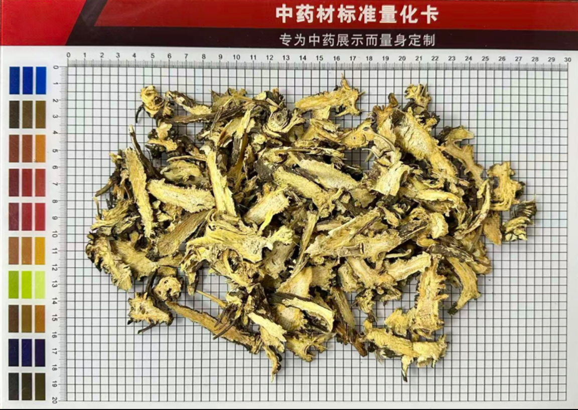 槀本