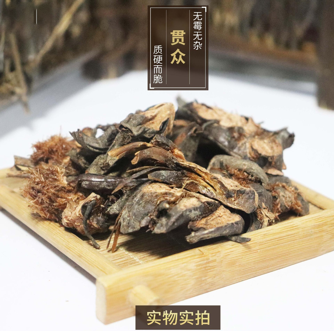 贯众