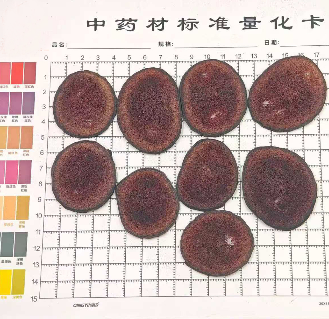 鹿茸
