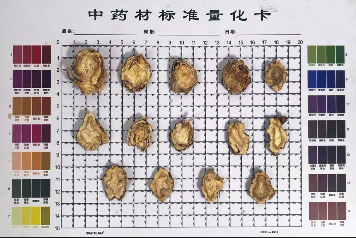 秦艽
