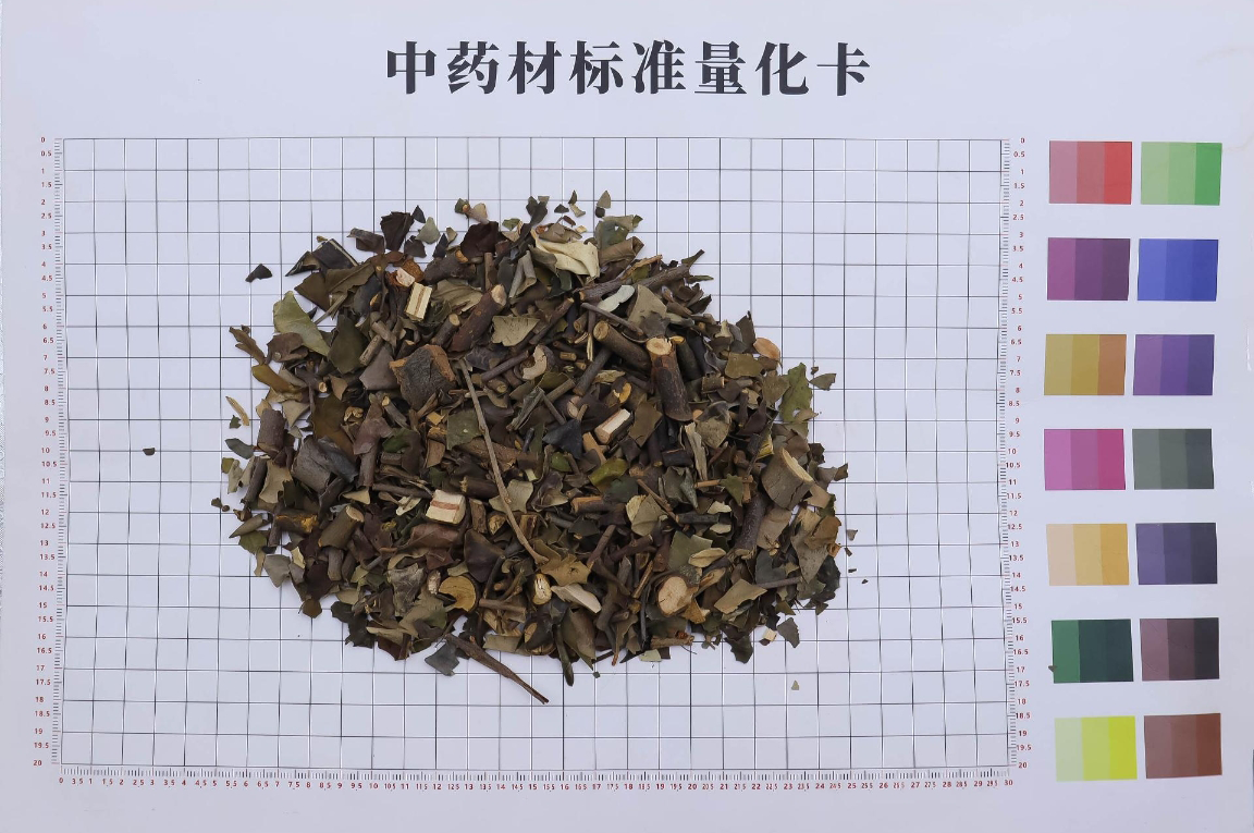 桑上寄生