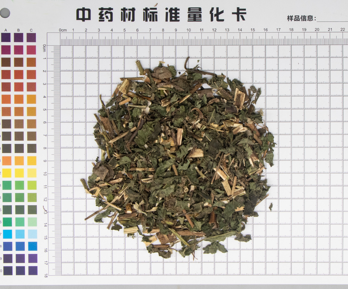 天名精