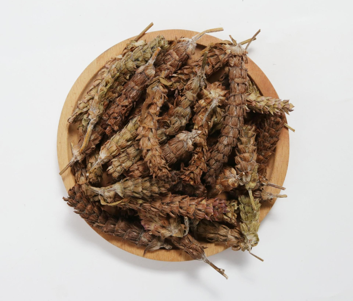 夏枯草