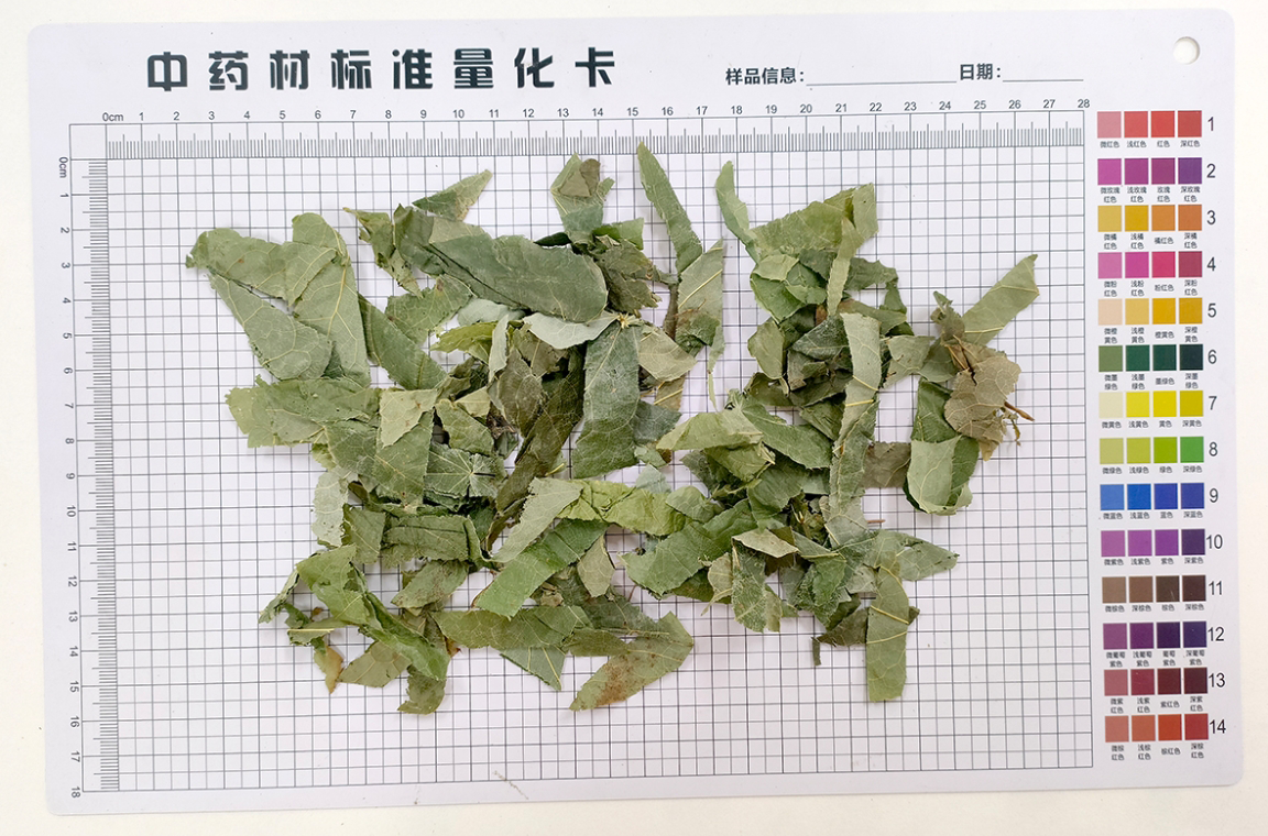 淫羊藿