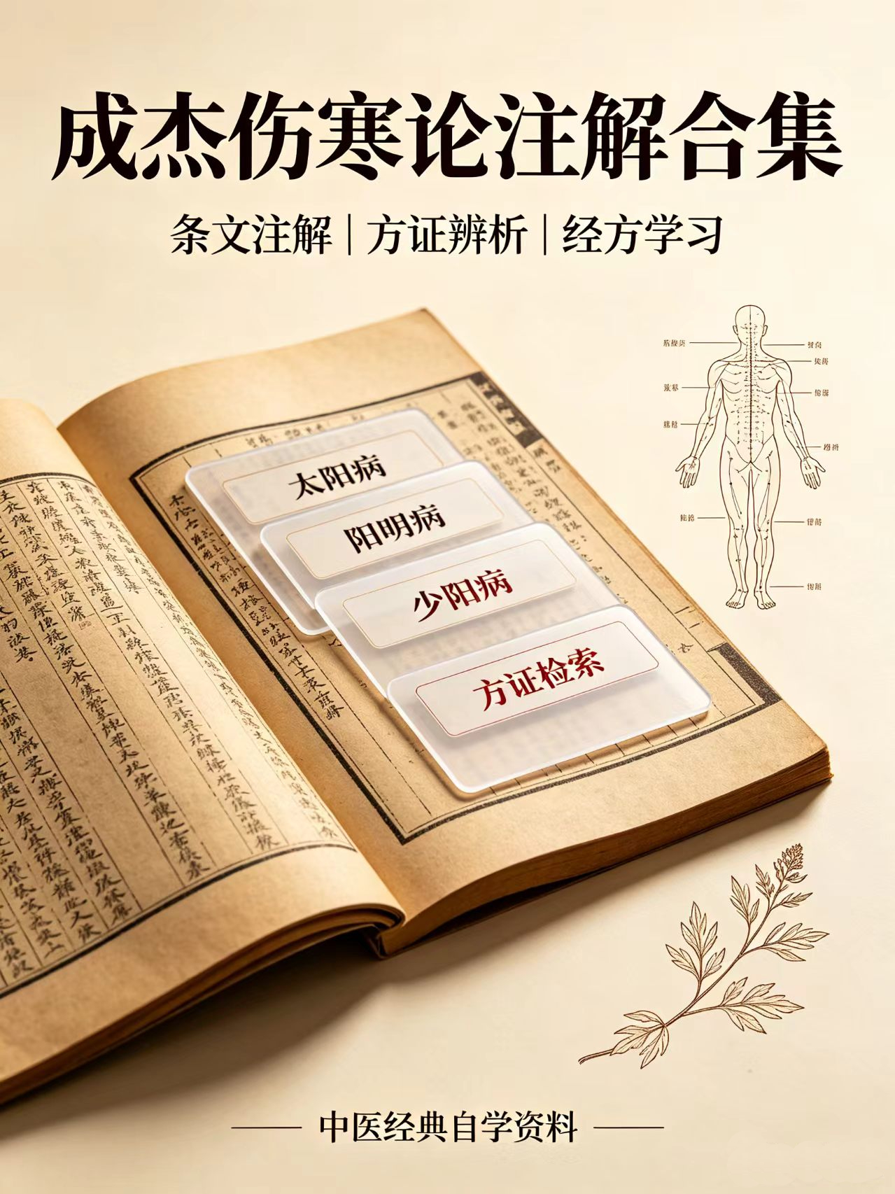 成杰伤寒论注解合集