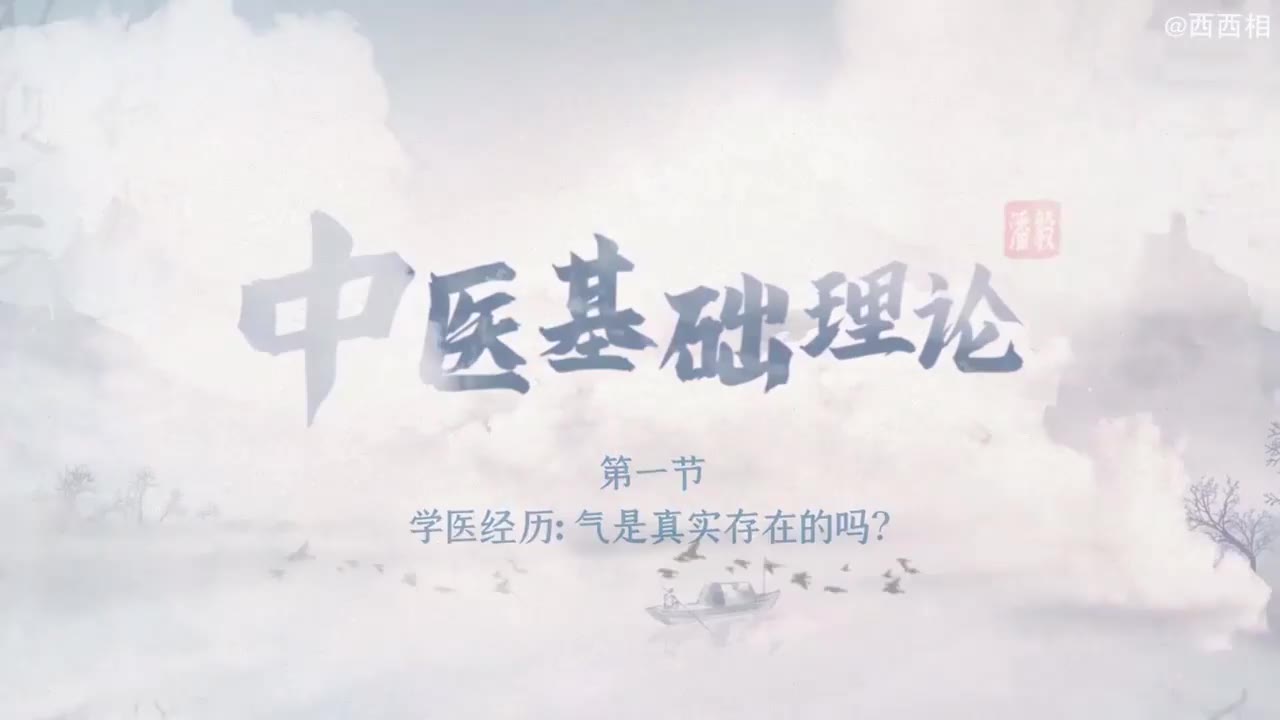 潘毅-中医基础理论完整版